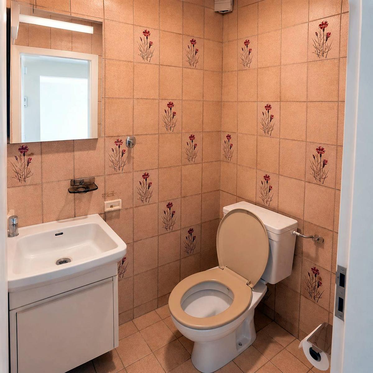 Avant rénovation